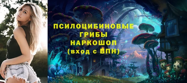 кристаллы Бородино