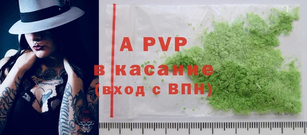 spice Богородск